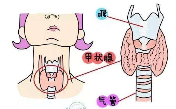 備孕一定要先做這項(xiàng)檢查，不然很容易得病