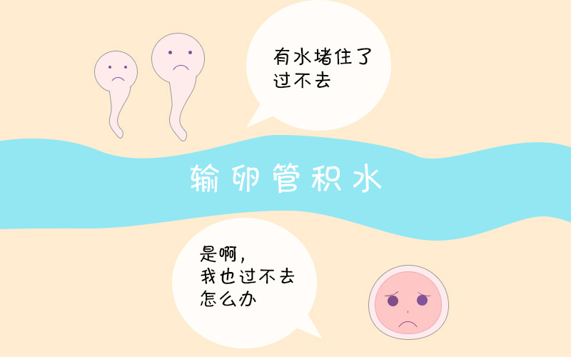 患有輸卵管積水，可以直接做試管嬰兒嗎？當然......不可以！