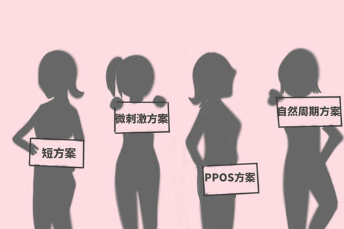 促排卵期間經常提到的問題有幾種？