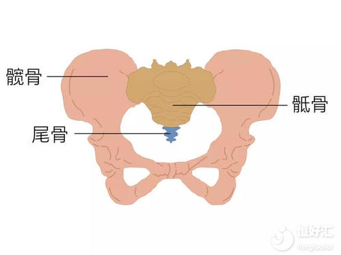 月經期間骶骨痛，是盆腔充血的原因嗎？
