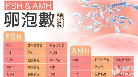 年齡的影響最大！女性AMH正常值詳細(xì)介紹