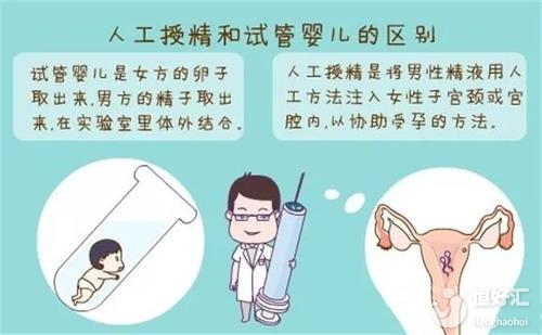 人工授精和試管有什么區(qū)別？這幾點你絕對想不到