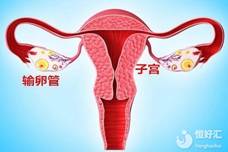 輸卵管堵塞能治好嗎？看完這個才能完全放心