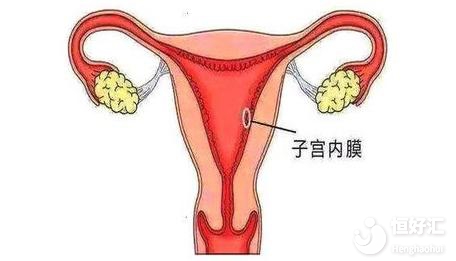 子宮內膜薄會影響生育？做試管可以嗎？