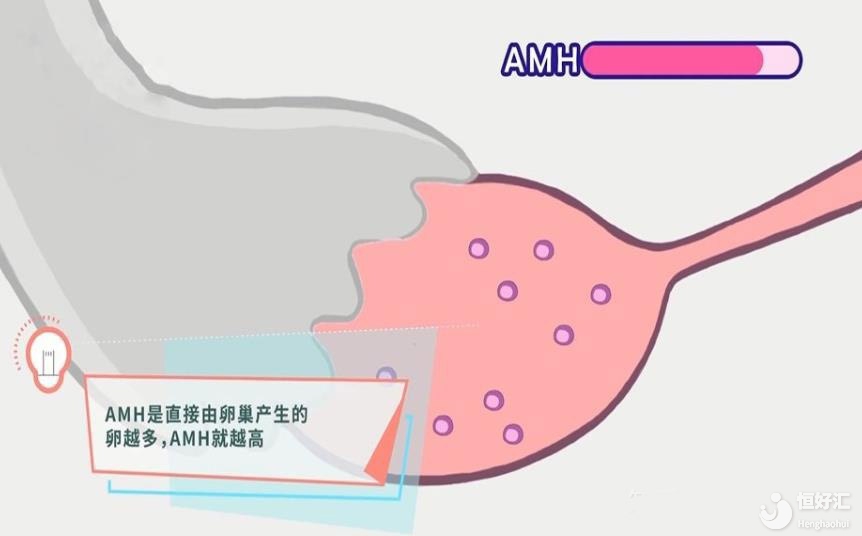 為什么多次試管還是失敗，到底是那些因素影響？