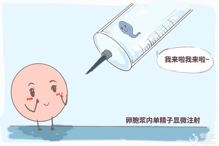 嬰兒試管是什么意思？1、2、3、4代試管嬰兒技術具體有哪些作用？