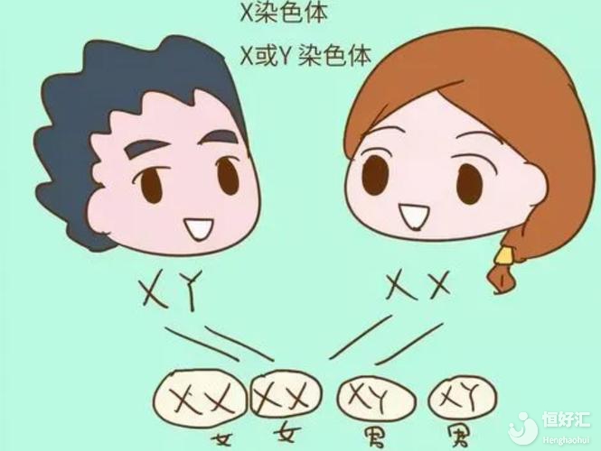 三代試管大概費用是多少？一次就成功，也要15萬嗎？