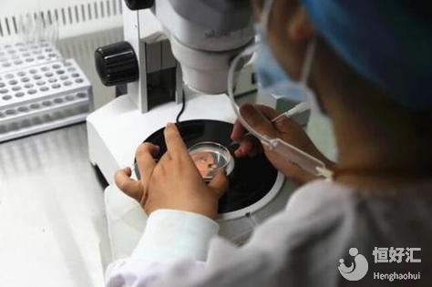 在成都進(jìn)行試管嬰兒的價格是多少？