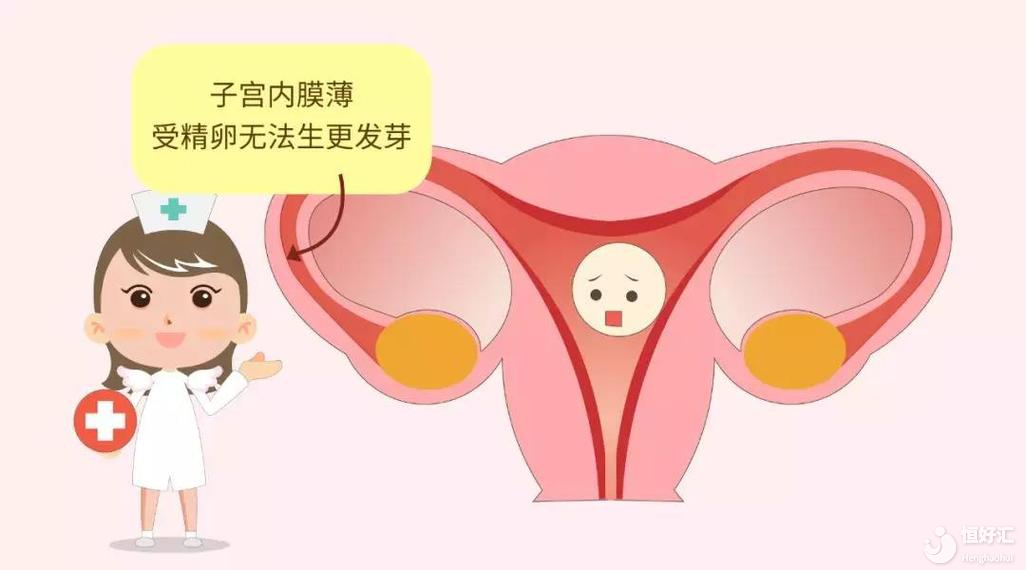 馬來西亞做試管嬰兒，成功率與子宮內膜掛鉤！